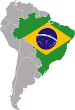 Brasiilia Santos (100% Arabica) - Image 2